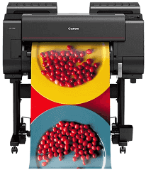 Canon imagePROGRAF PRO-2100 Printer Canon imagePROGRAF PRO-2100 driver